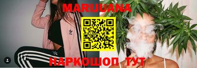 трава Кингисепп