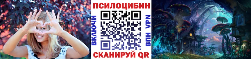 как найти закладки  Людиново  Псилоцибиновые грибы мицелий 