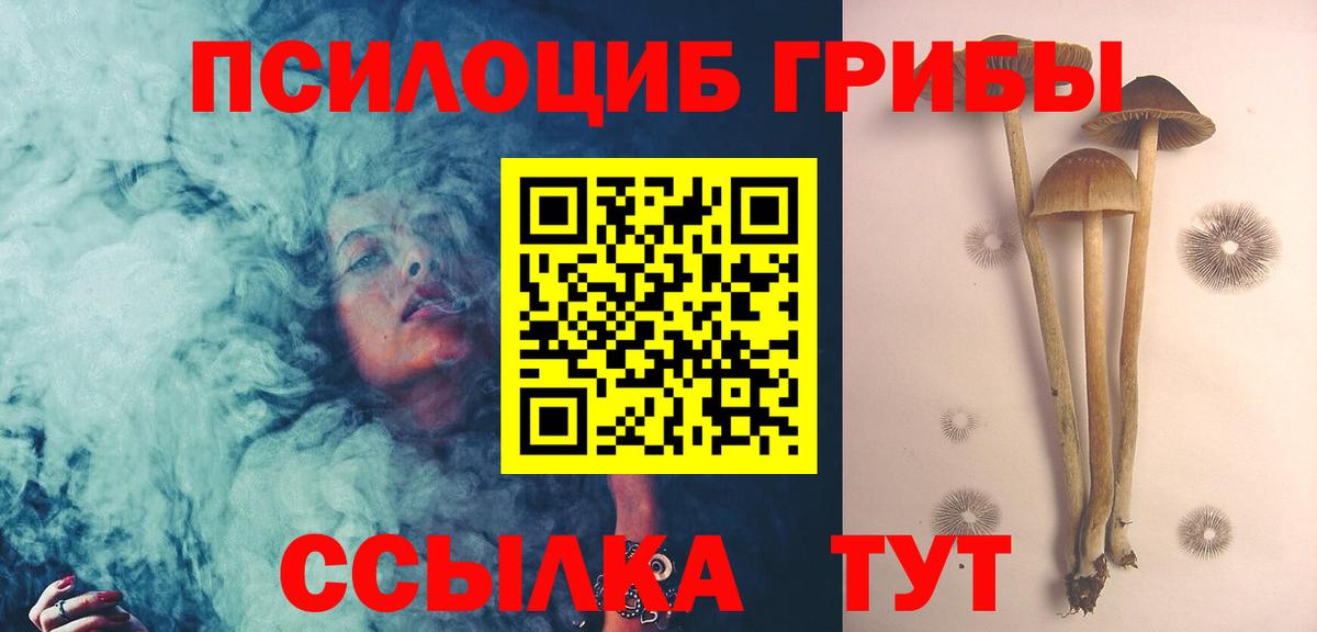 Галлюциногенные грибы Cubensis  Вход с VPN  Людиново 